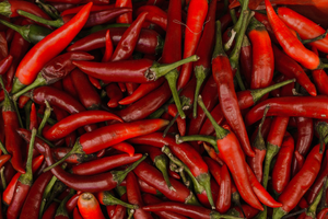 Dépannage climatisation Cayenne
